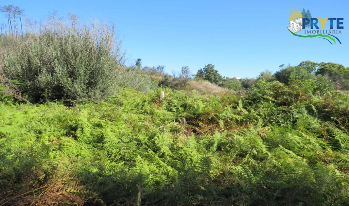 Terreno para Venda em Varzea dos Cavaleiros Foto 10