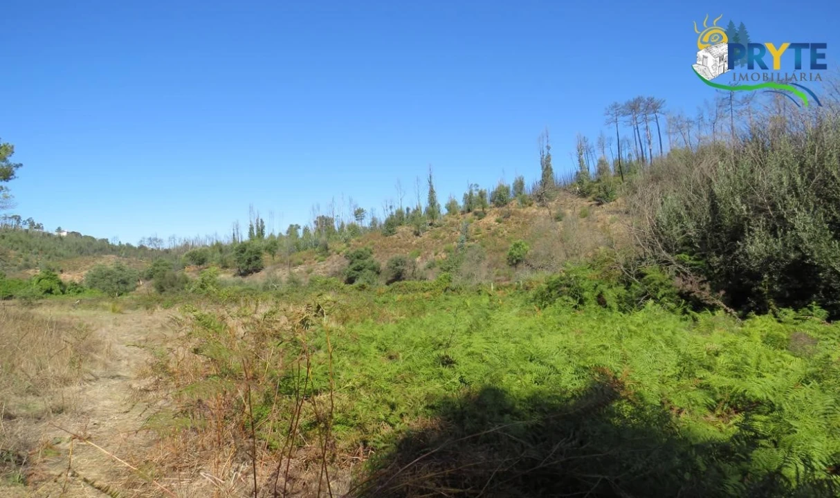 Terreno para Venda em Varzea dos Cavaleiros Foto 1