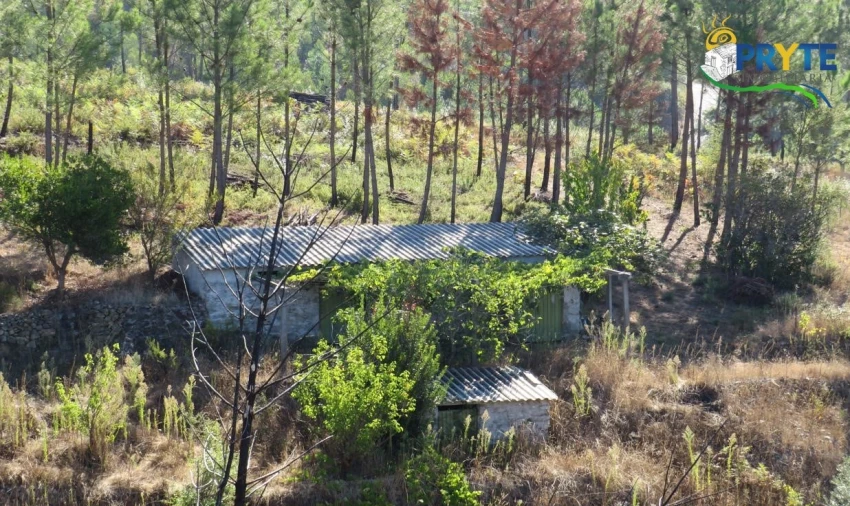 Terreno para Venda em Varzea dos Cavaleiros Foto 4