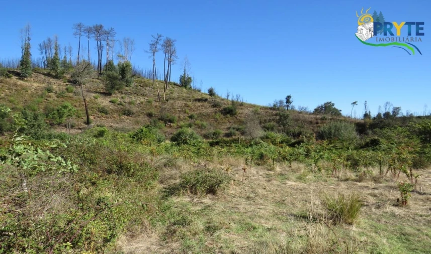 Terreno para Venda em Varzea dos Cavaleiros Foto 7