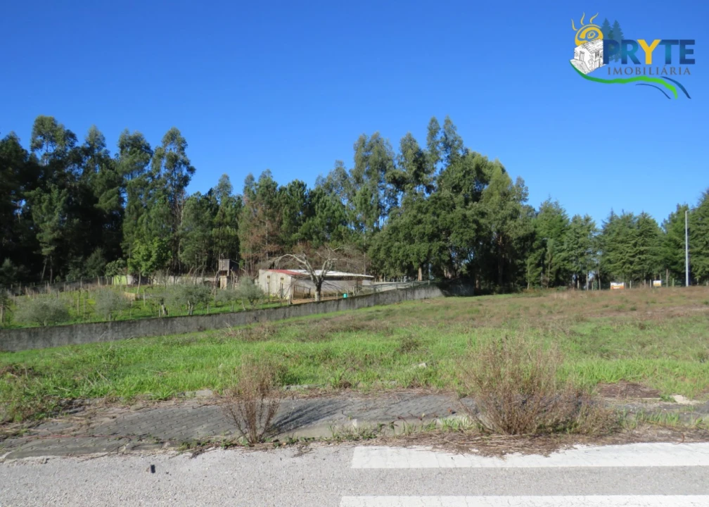 Terreno para Venda em Cernache do Bonjardim, Nesperal e Palhais Foto 1