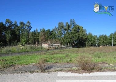 Terreno para Venda em Cernache do Bonjardim, Nesperal e Palhais