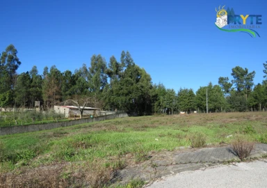 Terreno para Venda em Cernache do Bonjardim, Nesperal e Palhais