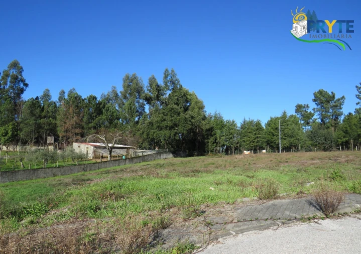 Terreno para Venda em Cernache do Bonjardim, Nesperal e Palhais Foto 2