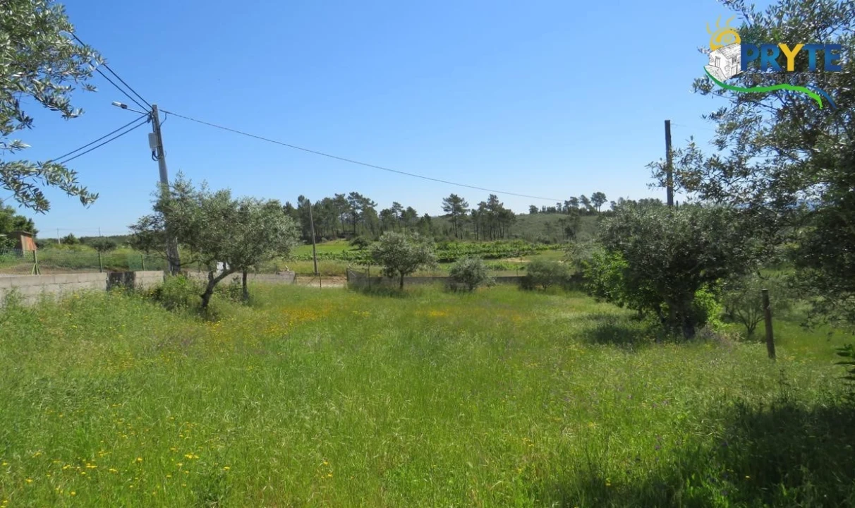 Terreno para Venda em Cumeada e Marmeleiro Foto 9