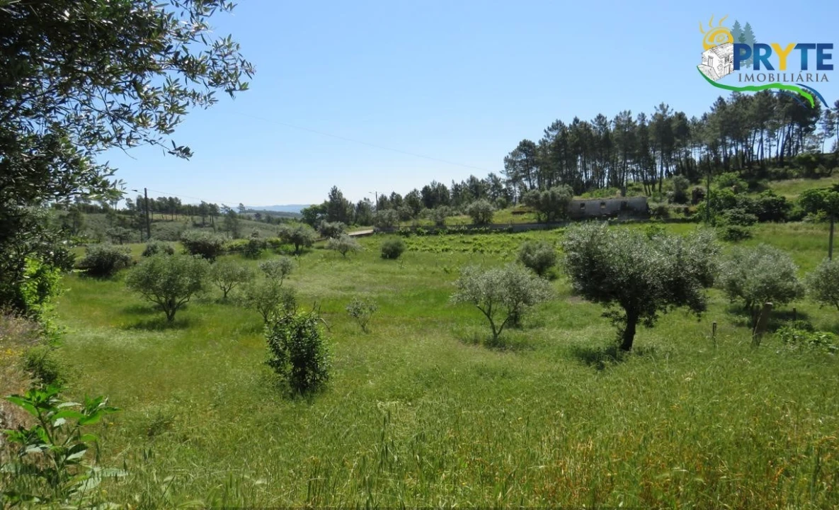 Terreno para Venda em Cumeada e Marmeleiro Foto 10