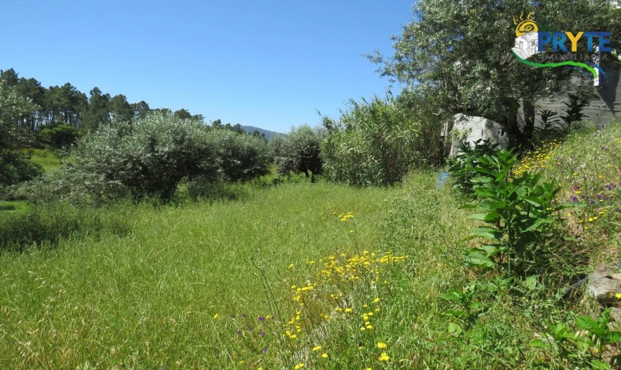 Terreno para Venda em Cumeada e Marmeleiro Foto 12