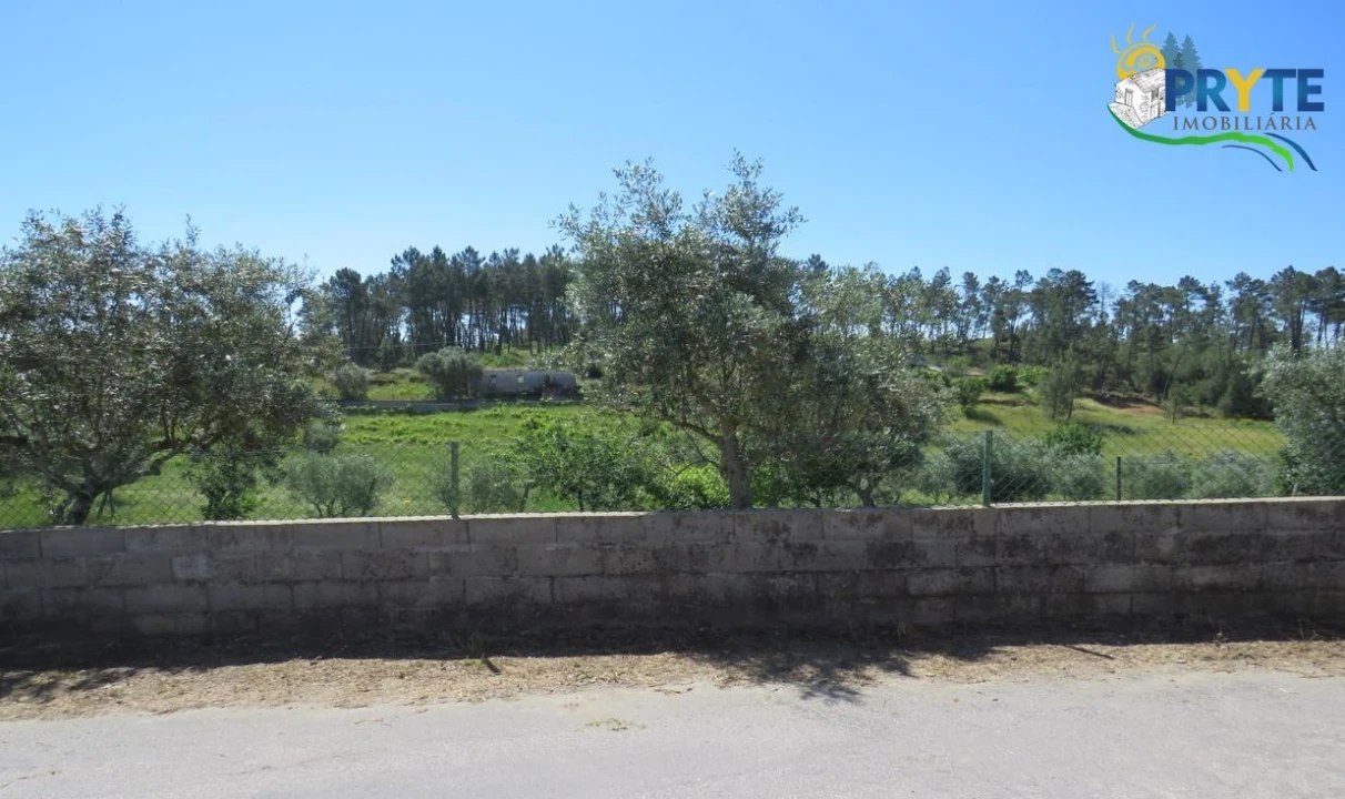 Terreno para Venda em Cumeada e Marmeleiro Foto 17