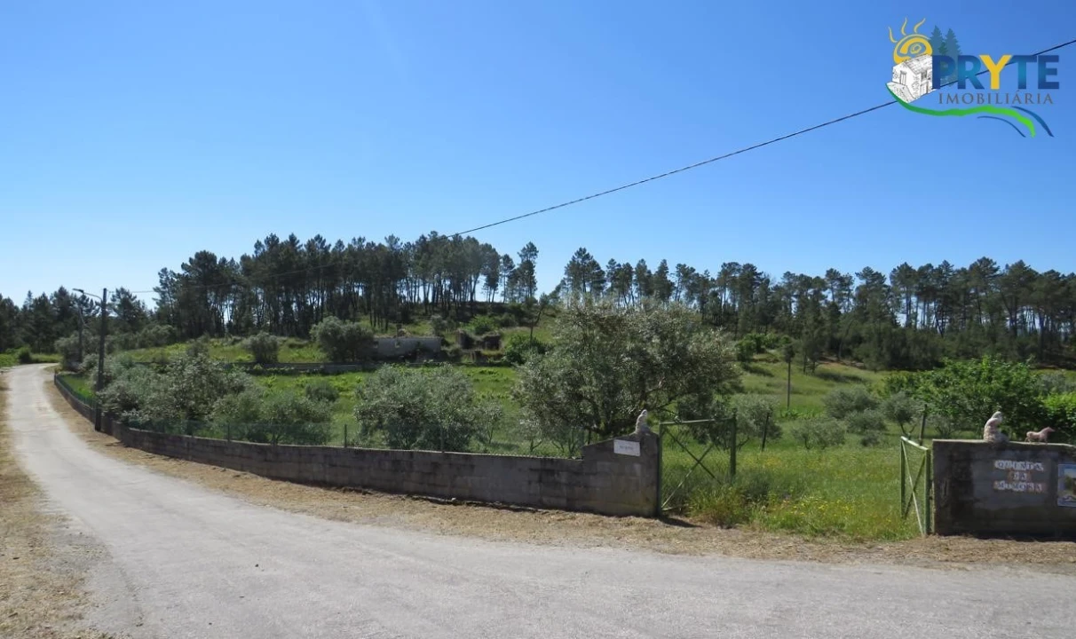 Terreno para Venda em Cumeada e Marmeleiro Foto 20