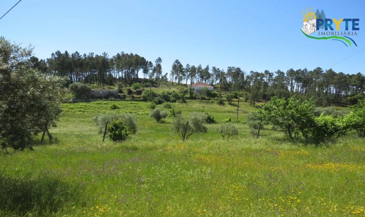 Terreno para Venda em Cumeada e Marmeleiro Foto 21