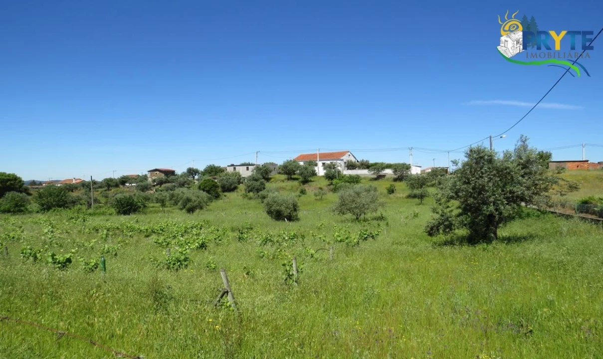 Terreno para Venda em Cumeada e Marmeleiro Foto 30