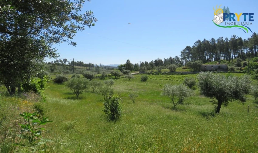 Terreno para Venda em Cumeada e Marmeleiro Foto 13