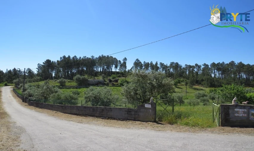 Terreno para Venda em Cumeada e Marmeleiro Foto 20