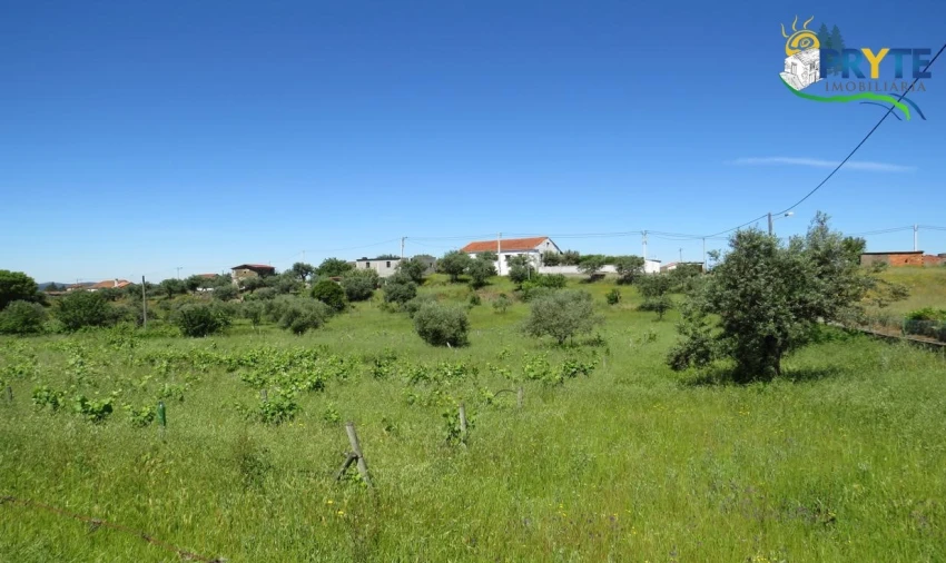 Terreno para Venda em Cumeada e Marmeleiro Foto 30