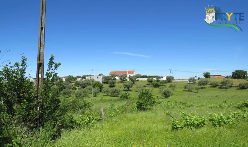 Terreno para Venda em Cumeada e Marmeleiro Foto 32