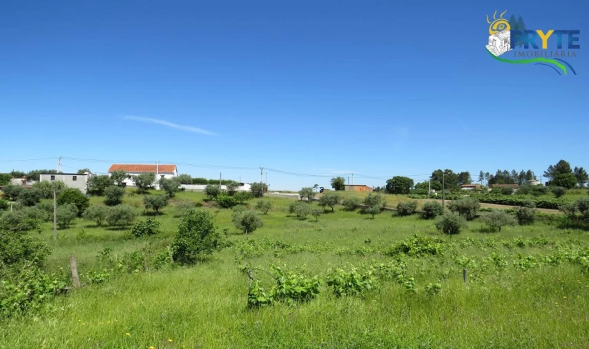 Terreno para Venda em Cumeada e Marmeleiro Foto 33