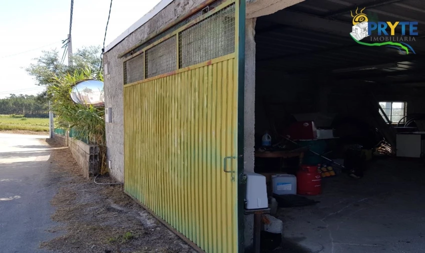 Terreno para Venda em Cumeada e Marmeleiro Foto 43