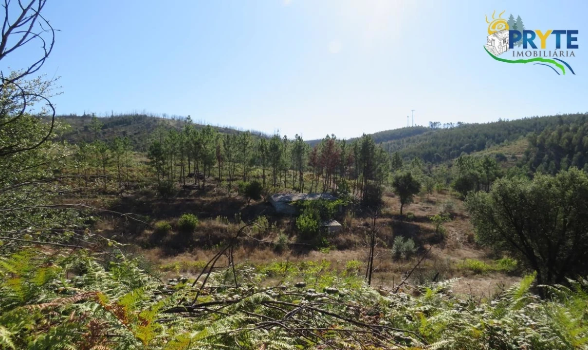 Terreno para Venda em Varzea dos Cavaleiros Foto 2