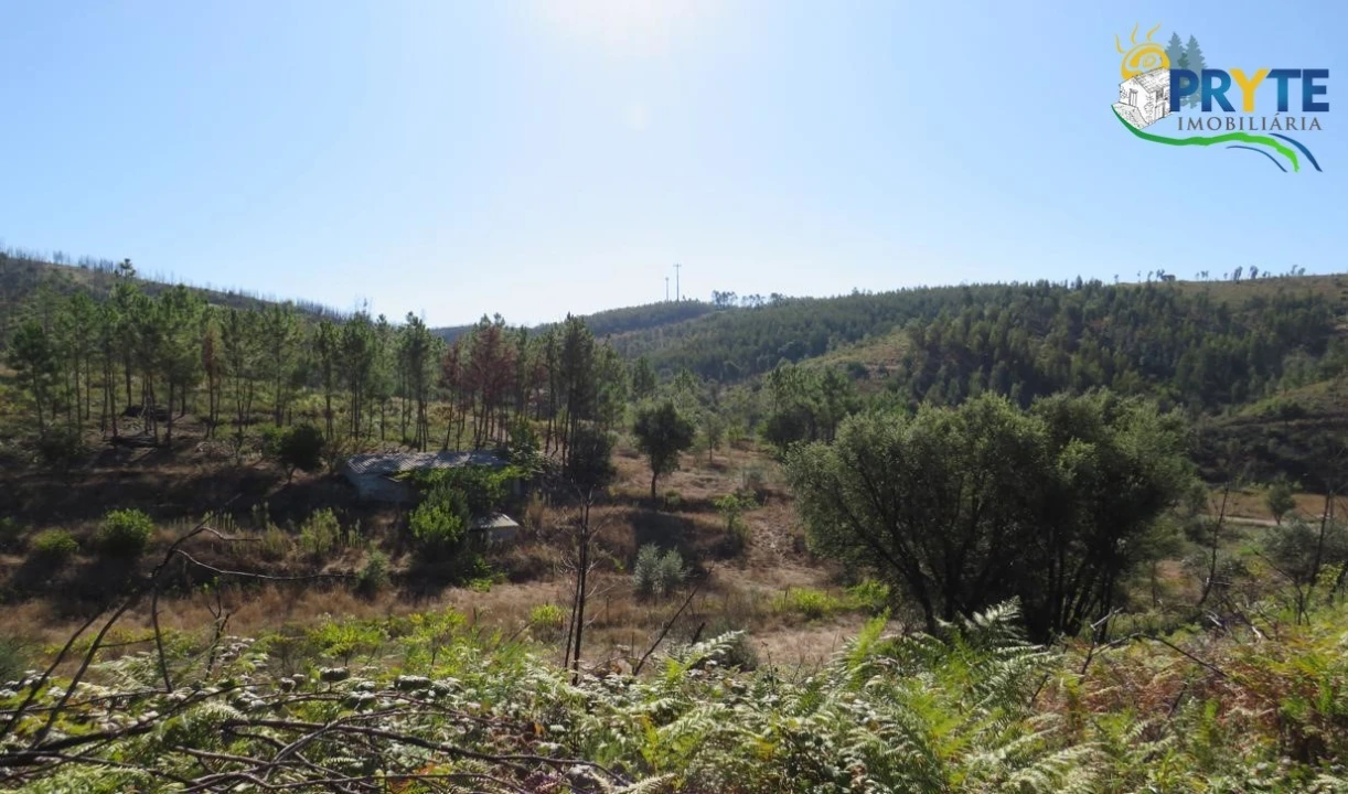 Terreno para Venda em Varzea dos Cavaleiros Foto 3