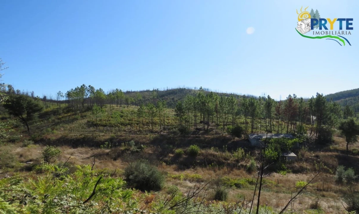 Terreno para Venda em Varzea dos Cavaleiros Foto 1