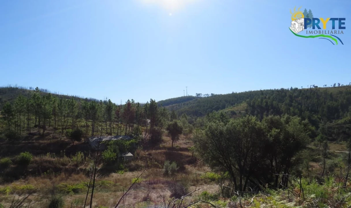 Terreno para Venda em Varzea dos Cavaleiros Foto 6