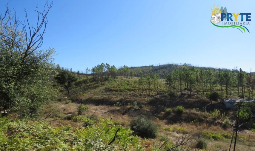 Terreno para Venda em Varzea dos Cavaleiros Foto 4