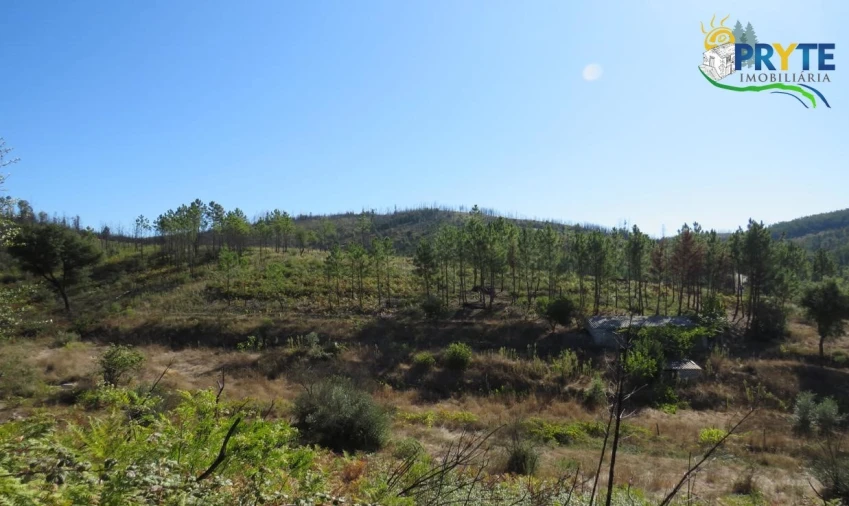 Terreno para Venda em Varzea dos Cavaleiros