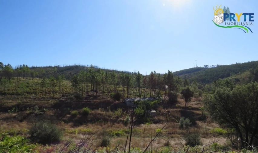 Terreno para Venda em Varzea dos Cavaleiros Foto 5