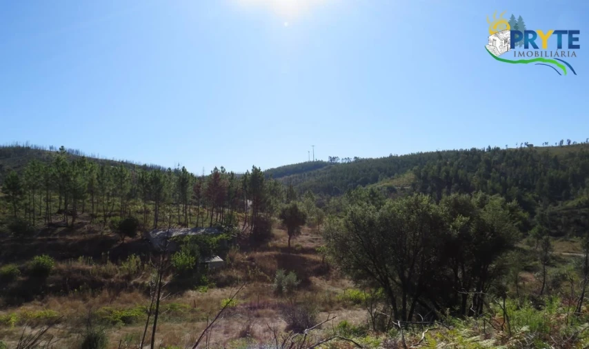 Terreno para Venda em Varzea dos Cavaleiros Foto 6