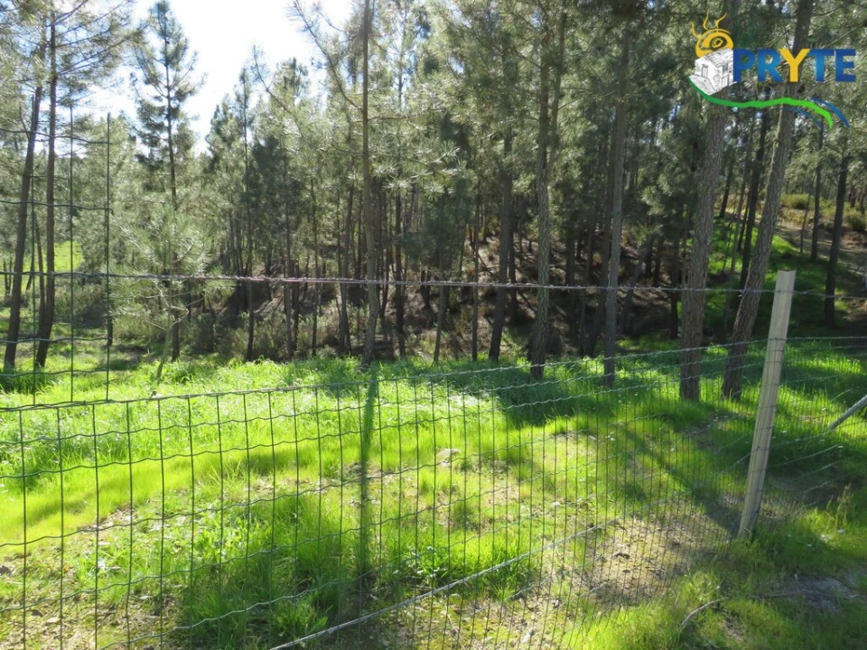Quinta para Venda em Sobreira Formosa e Alvito da Beira Foto 2