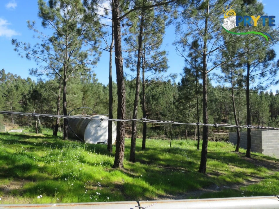 Quinta para Venda em Sobreira Formosa e Alvito da Beira Foto 3