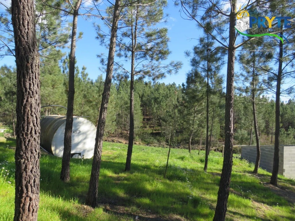 Quinta para Venda em Sobreira Formosa e Alvito da Beira Foto 4