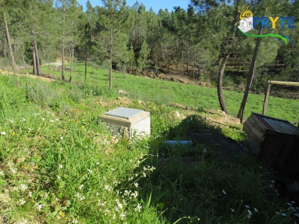 Quinta para Venda em Sobreira Formosa e Alvito da Beira Foto 6