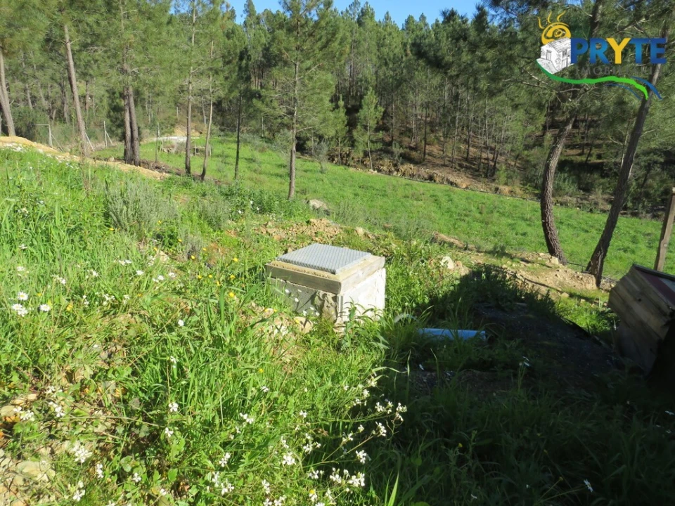 Quinta para Venda em Sobreira Formosa e Alvito da Beira Foto 7