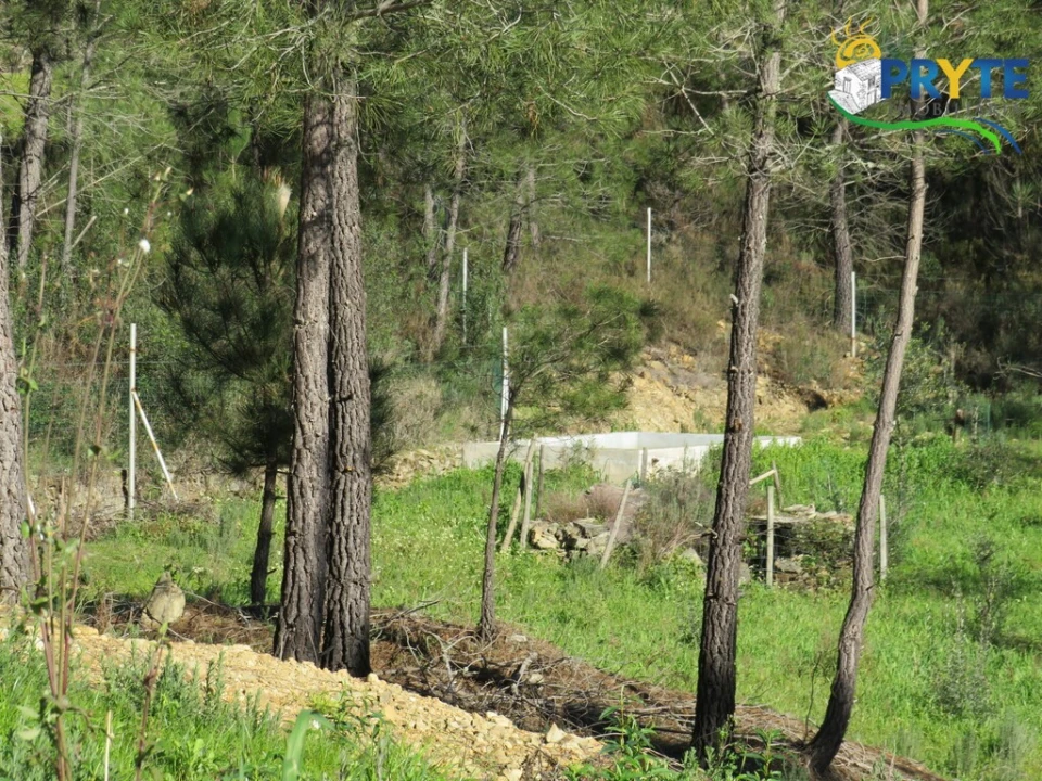 Quinta para Venda em Sobreira Formosa e Alvito da Beira Foto 8