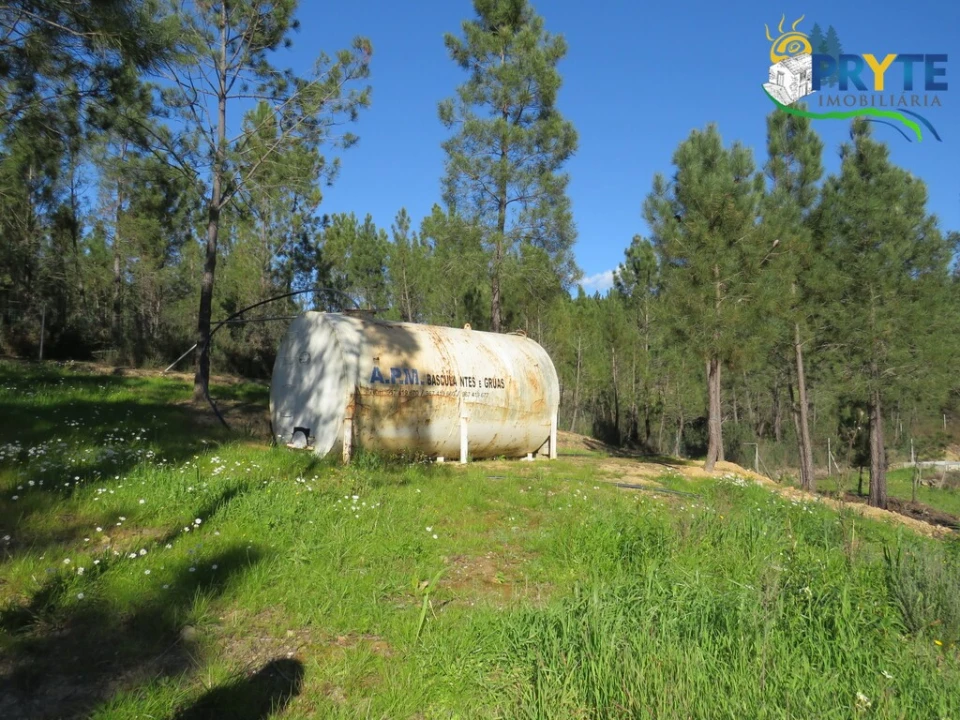 Quinta para Venda em Sobreira Formosa e Alvito da Beira Foto 9