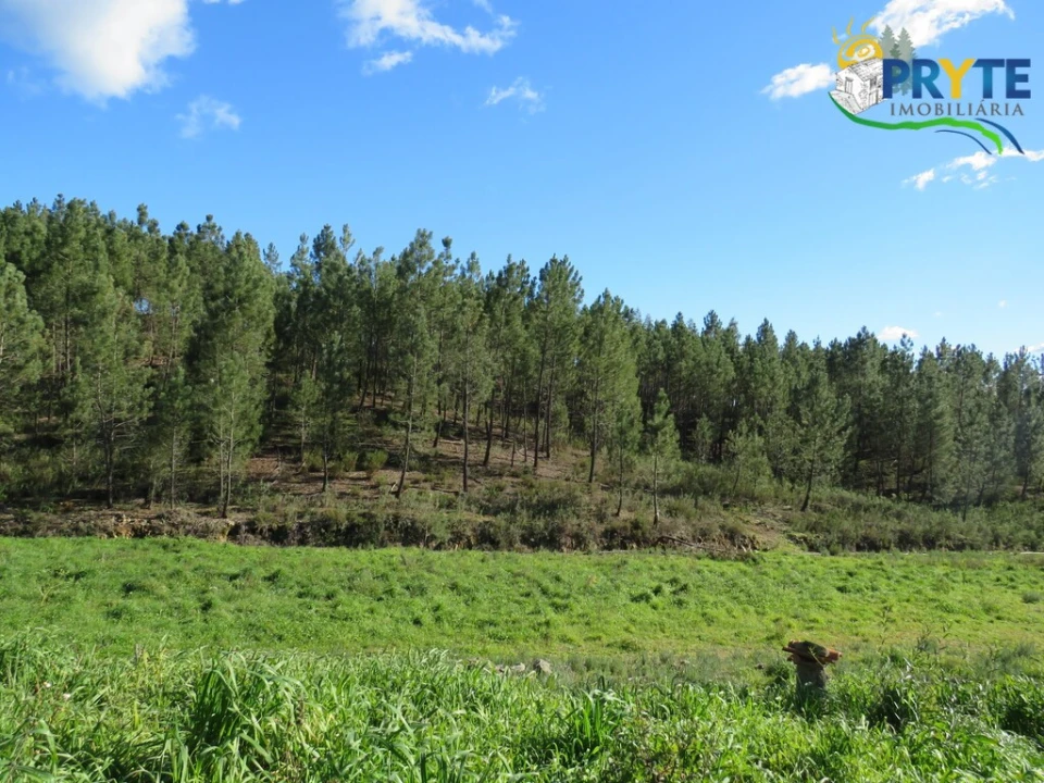 Quinta para Venda em Sobreira Formosa e Alvito da Beira Foto 12