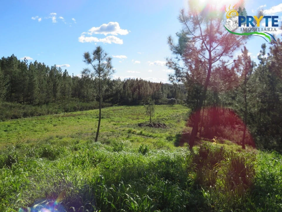 Quinta para Venda em Sobreira Formosa e Alvito da Beira Foto 14