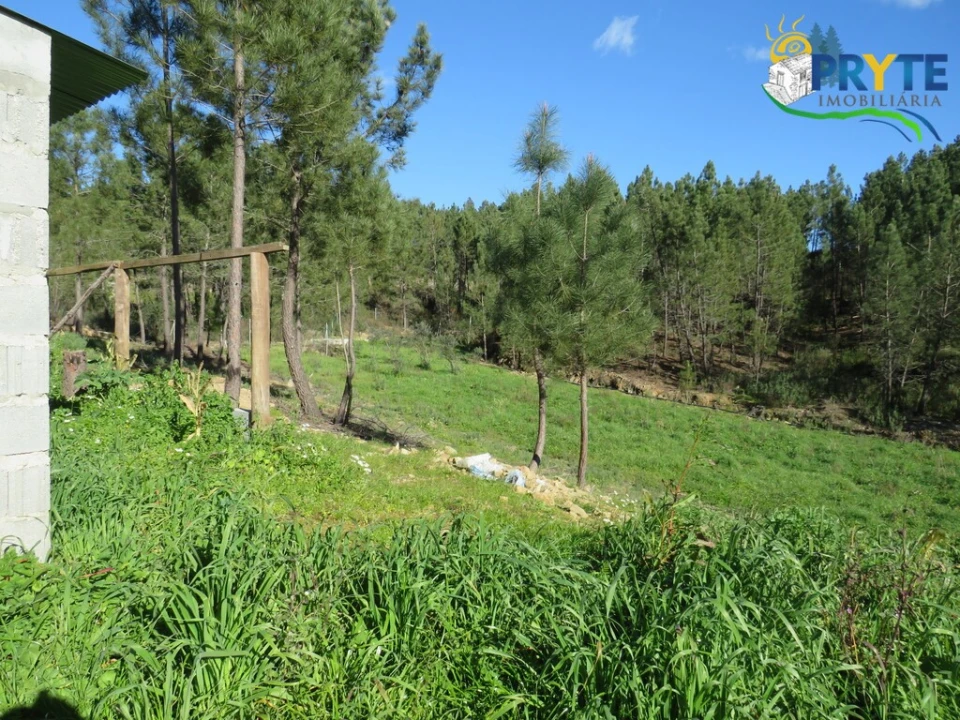 Quinta para Venda em Sobreira Formosa e Alvito da Beira Foto 15