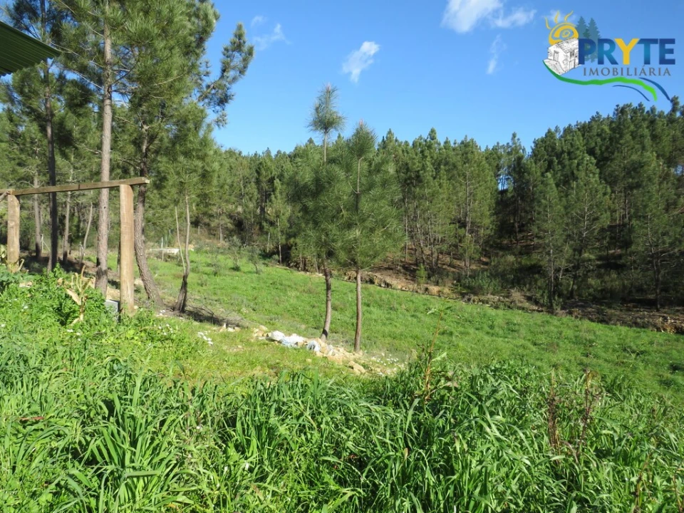 Quinta para Venda em Sobreira Formosa e Alvito da Beira Foto 17