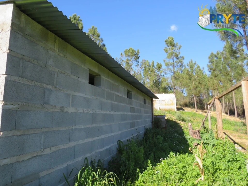 Quinta para Venda em Sobreira Formosa e Alvito da Beira Foto 18