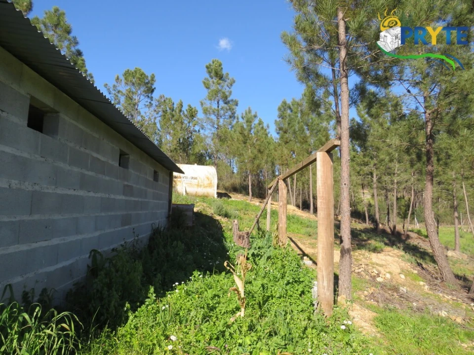 Quinta para Venda em Sobreira Formosa e Alvito da Beira Foto 19