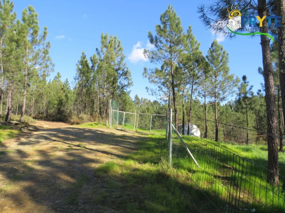 Quinta para Venda em Sobreira Formosa e Alvito da Beira Foto 21
