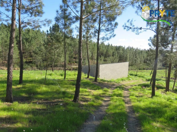Quinta para Venda em Sobreira Formosa e Alvito da Beira Foto 1
