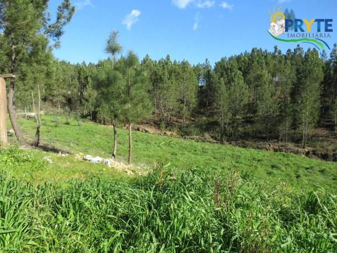 Quinta para Venda em Sobreira Formosa e Alvito da Beira Foto 16