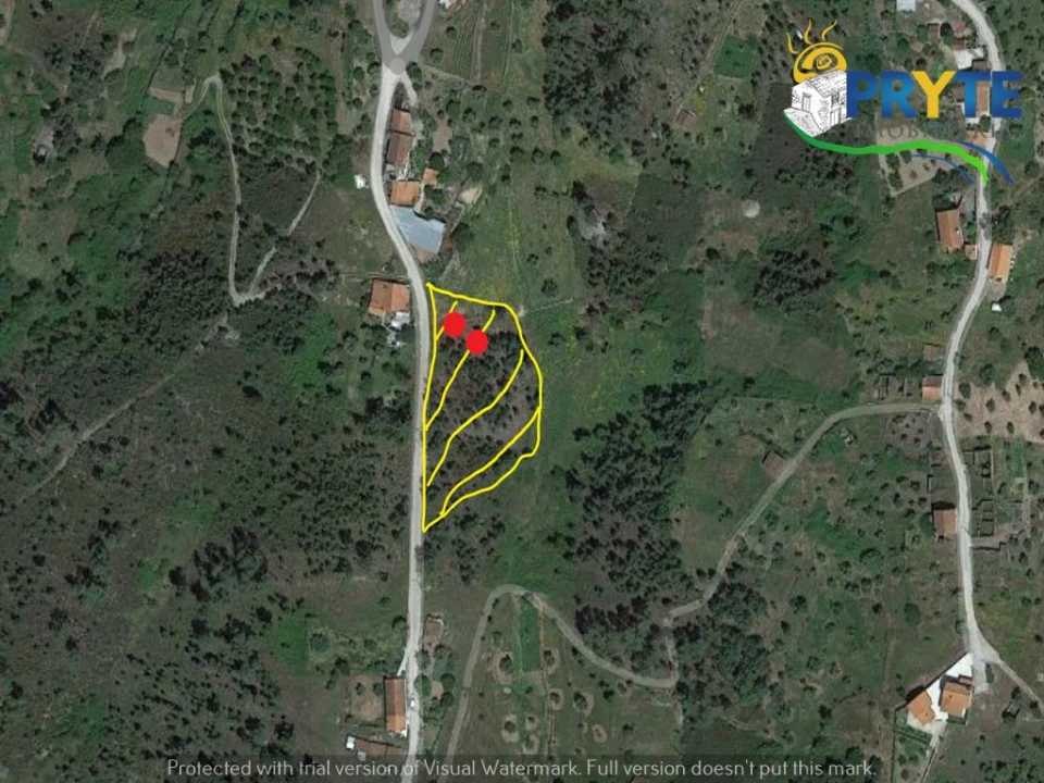 Terreno para Venda em Cernache do Bonjardim, Nesperal e Palhais Foto 1