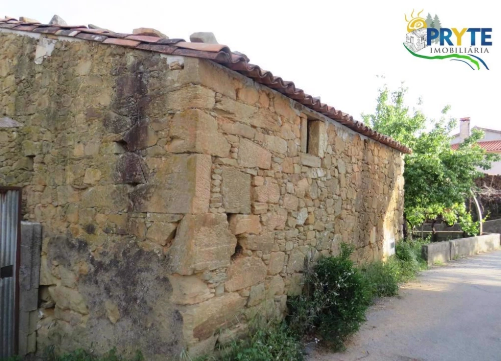 Terreno para Venda em Sertã Foto 1