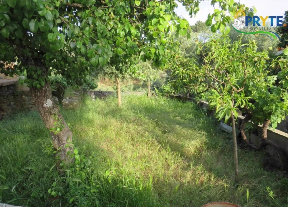 Terreno para Venda em Sertã Foto 3