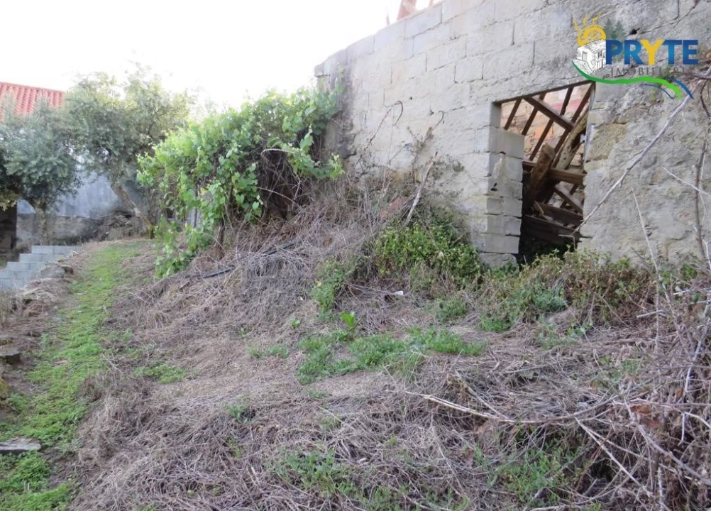 Terreno para Venda em Sertã Foto 14
