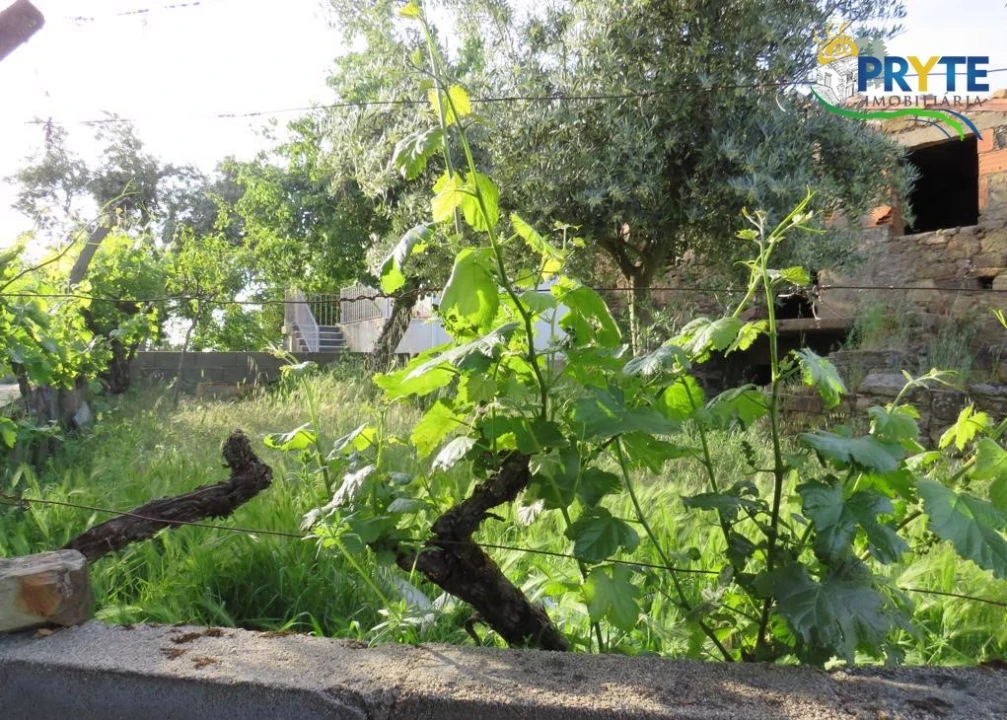 Terreno para Venda em Sertã Foto 17